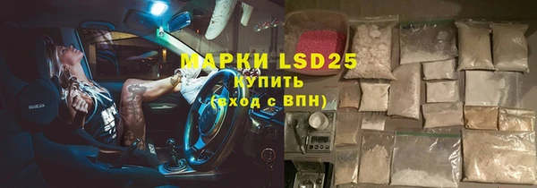 прущие грибы Белокуриха