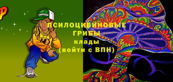 прущие грибы Белокуриха